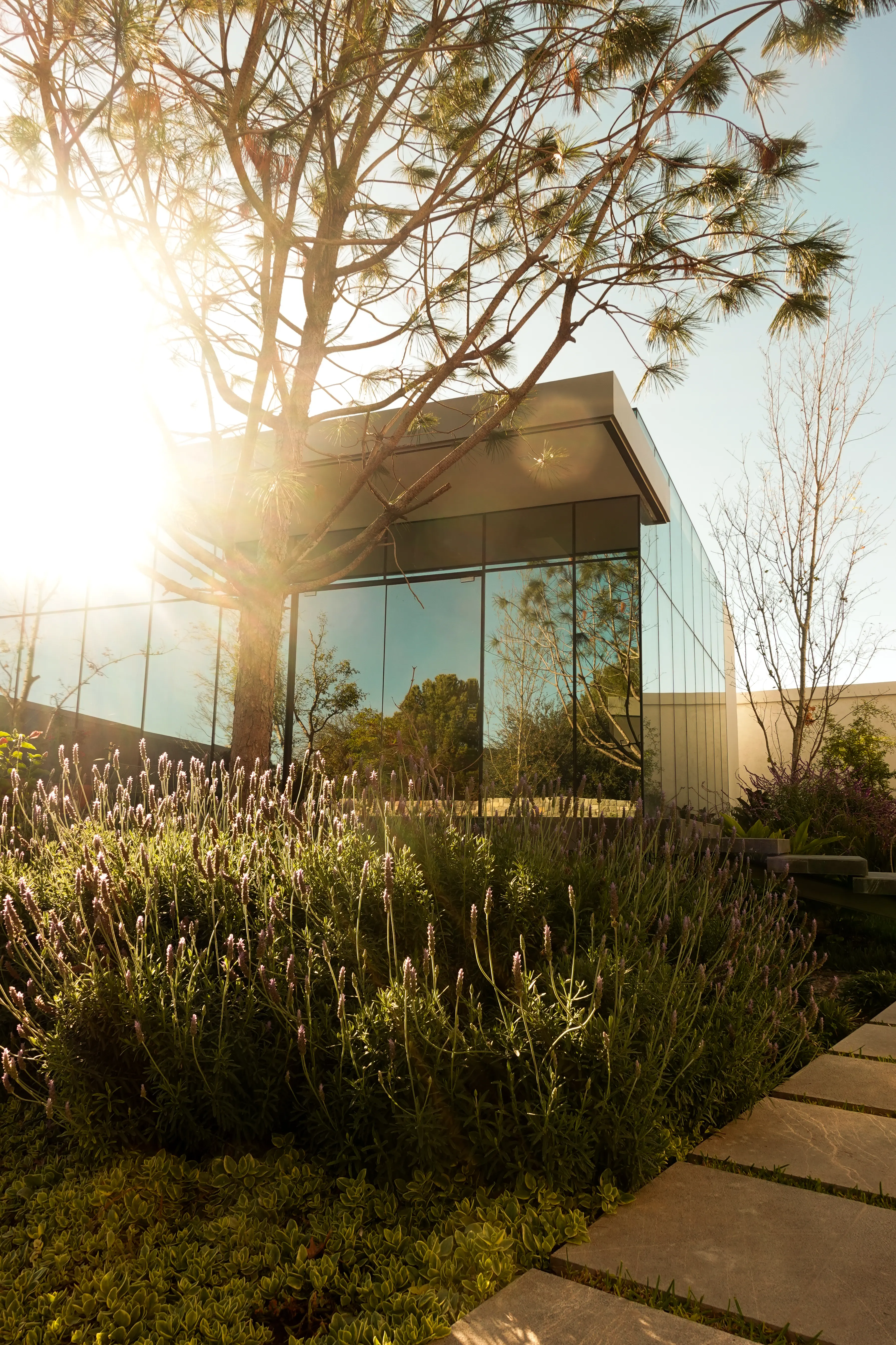 Urteaga Arquitectos